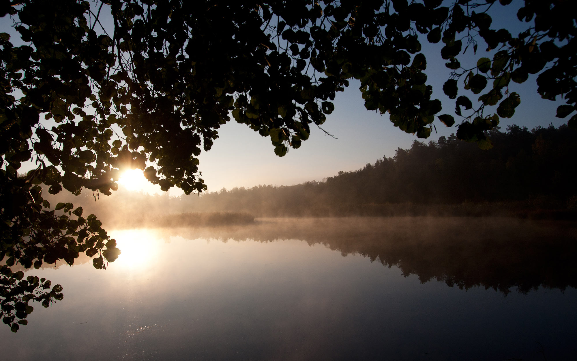 morgennebel